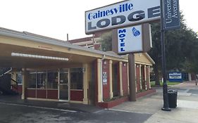 Gainesville Lodge Gainesville Fl